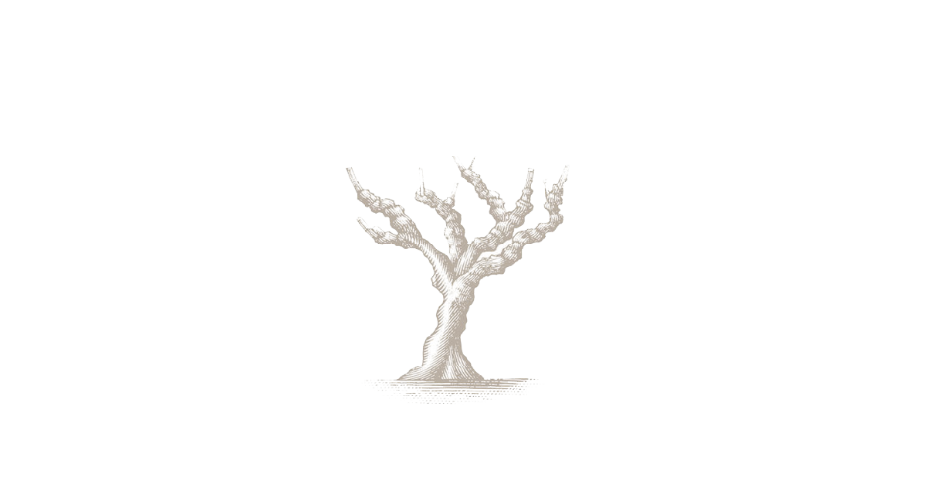 Tovc